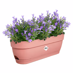 elho Vibia Campana Trough 50cm