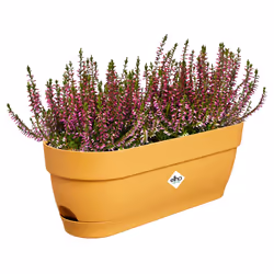 elho Vibia Campana Trough 50cm