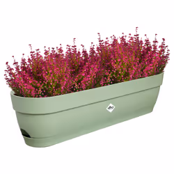 elho Vibia Campana Trough 70cm - Additional view 4
