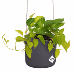 elho B.For Swing 18cm