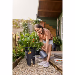elho Green Basics Strawberry Pot 33cm - Additional view 7