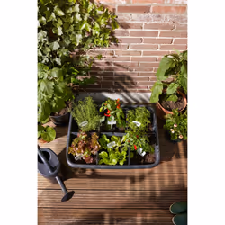 elho Green Basics Grow Garden L - Additional view 8