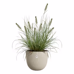 elho Sereh Rund Beige Plastic 1 pc(s) - Additional view 3