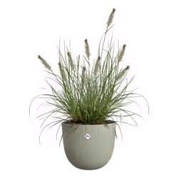 elho Sereh Rund Beige Plastic 1 pc(s) - Additional view 3