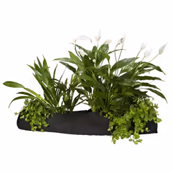 Velda 127594 Plant Basket for Pond Plants, 10 x 80 cm, Plant Sock