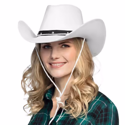 Boland 8712026043849 fancy dress prop/accessory Fancy dress hat Adult Any gender - Additional view 2