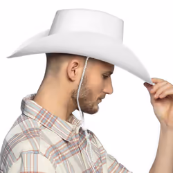 Boland 8712026043849 fancy dress prop/accessory Fancy dress hat Adult Any gender - Additional view 4