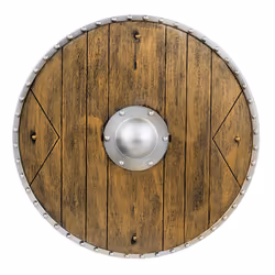 Boland 8712026440440, Fancy dress shield, Adult, Any gender, Polypropylene (PP), Brown, 400 mm