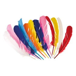 Boland 44135 Fancy dress feathers Adult & Child Any gender