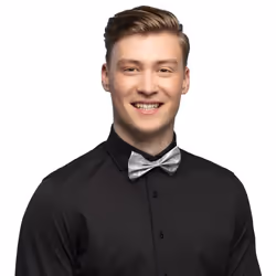 Boland 53111, Fancy dress bow tie, Adult, Male, Polyester, Polyethylene terephthalate (PET), Silver, 16 g