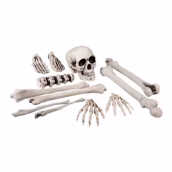 Boland 72157, Decoration, Polyethylene, Polypropylene (PP), White, 250 mm, 180 g, 12 pc(s)