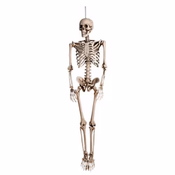 Boland 74515, Party door decoration, Halloween, Skeleton, 180 mm, 380 mm, 800 mm