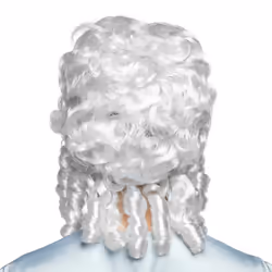 Boland 86350 Fancy dress wig Adult Female