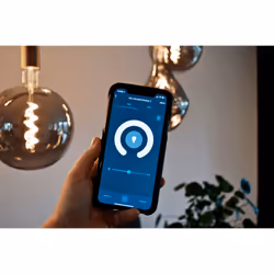 Calex 429164 LED bulb 2100 K 6 W E27 G