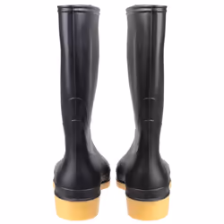 DUNLOP Womens/Ladies 16258 DULLS Wellington Boot / Womens Boots - 42 EUR, Black