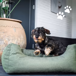 MADISON MAN1G362 dog / cat bed Pillow pet bed
