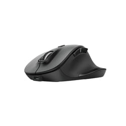 Trust Fyda mouse Office Right-hand RF Wireless Optical 2400 DPI