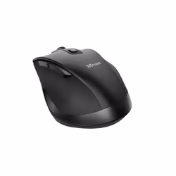 Trust Fyda mouse Office Right-hand RF Wireless Optical 2400 DPI