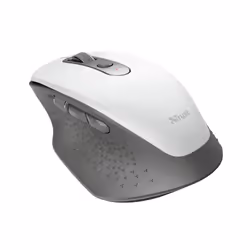 Trust Ozaa mouse Office Right-hand RF Wireless Optical 2400 DPI