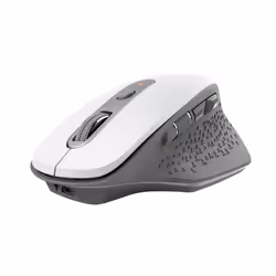 Trust Ozaa mouse Office Right-hand RF Wireless Optical 2400 DPI