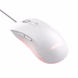 Trust GXT924W YBAR+ mouse Gaming Right-hand USB Type-A Optical 25600 DPI