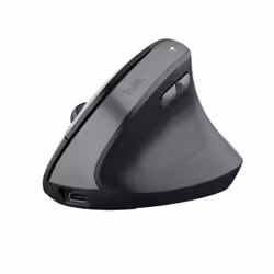 Trust Bayo II, Right-hand, Optical, RF Wireless, 2400 DPI, Black
