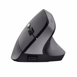 Trust Bayo II mouse Medical Right-hand RF Wireless Optical 2400 DPI
