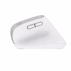 Trust Bayo+ mouse Office Right-hand RF Wireless + Bluetooth Optical 2400 DPI - Additional view 4