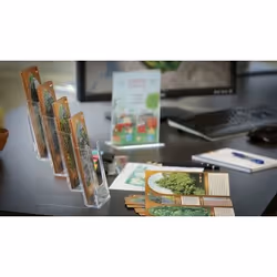 Europel 350102 desk tray/organizer Polystyrene Transparent