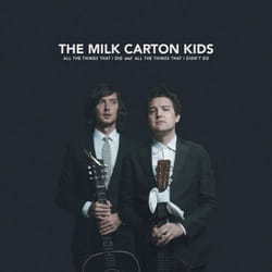 ImportCDs All the Things I did and All the Things That I didn't Do Vinyl Americana