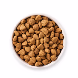 Yarrah Organic Vega 2 kg Adult Coconut, Corn, Rice - Additional view 4