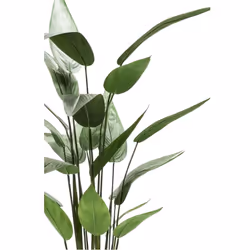 Emerald Artificial Heliconia Plant Garden House Decor Flower Green 125 cm 419837