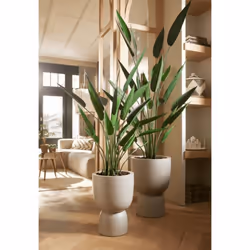 Emerald Artificial Heliconia Plant Garden House Decor Flower Green 125 cm 419837