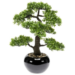 Emerald Artificial Ficus Mini Bonsai Green 47 cm Garden Plant Flower 420006