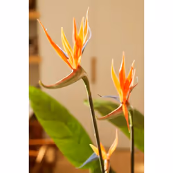 Emerald Artificial Plant Strelitzia in Pot with Flowers 120cm Faux Fake Plant