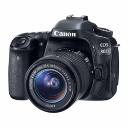 Canon EOS 80D + EF-S 18-55mm f/3.5-5.6 IS STM SLR Camera Kit 24.2 MP CMOS 6000 x 4000 pixels Black