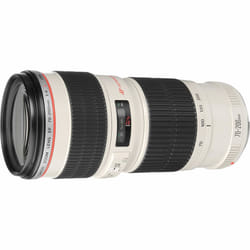 Canon Ef 70-200Mm F4L Usm