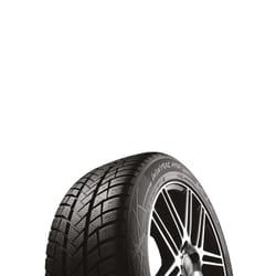 Vredestein Wintrac Pro Winter E B 73 dB 35 48.3 cm (19") 25.5 cm