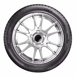 Apollo ALNAC 4G ALL SEASON 185/65 R15 88H passenger car All-season tyres Tyres AL18565015HAA4AZ0