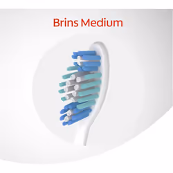 Colgate Triple Action Medium ToothbrushÂ âÂ Colour May Vary