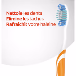 Colgate Triple Action Medium ToothbrushÂ âÂ Colour May Vary