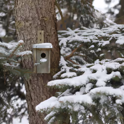 Esschert Design NKN nest box - Additional view 8