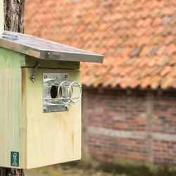 Esschert Design NKMK nest box - Additional view 5