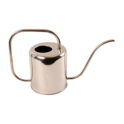 Esschert Design TG45 watering can 1.5 L Stainless steel