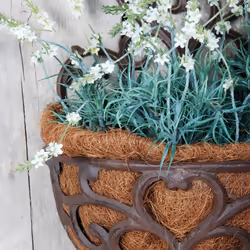 Esschert Design BPH51 planter