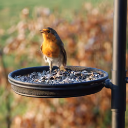 Esschert Design FB150 bird feeder - Additional view 4