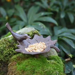 Esschert Design FB152 bird bath