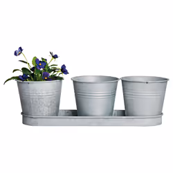 Esschert Design Old zinc 3 pots on a sauce, Silver, Zinc, 0.815 L, 321 mm, 109 mm, 109 mm