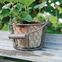Esschert Design AT09 flowerpot 12 pc(s)