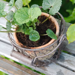 Esschert Design AT09 flowerpot 12 pc(s)